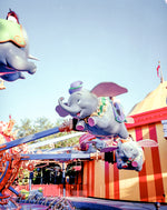 Disney on 120 Film Camera