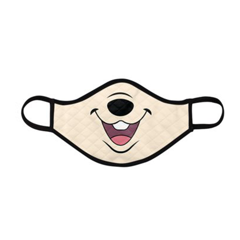 Character Face Masks